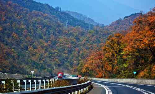 秋游正當(dāng)時！成都租車旅游選哪一條？
